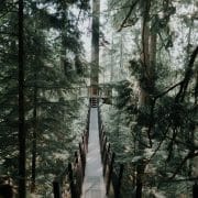 Business Consulting Vancouver