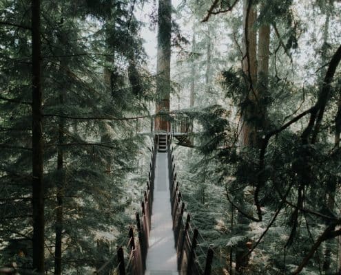 Business Consulting Vancouver