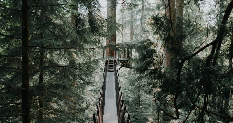 Business Consulting Vancouver
