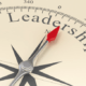 evolving leadership strategies