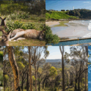 Screen Shot 2025-08-01 at 1.33.47 AM